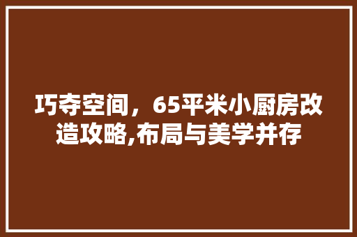 巧夺空间，65平米小厨房改造攻略,布局与美学并存