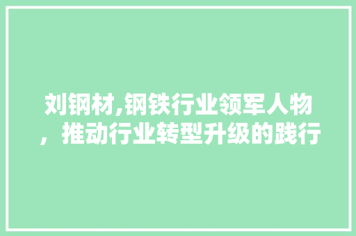 刘钢材,钢铁行业领军人物，推动行业转型升级的践行者 装修攻略
