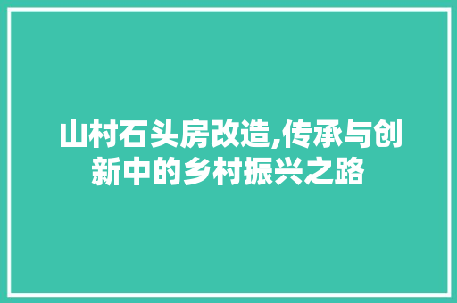 山村石头房改造,传承与创新中的乡村振兴之路