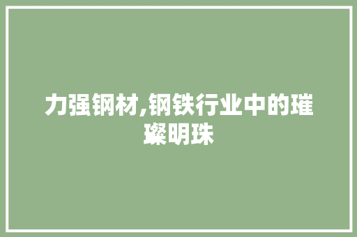 力强钢材,钢铁行业中的璀璨明珠