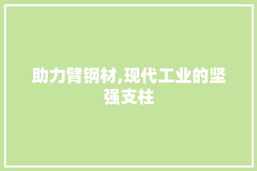 助力臂钢材,现代工业的坚强支柱