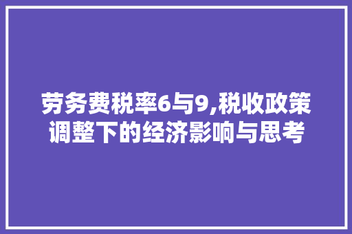 劳务费税率6与9,税收政策调整下的经济影响与思考