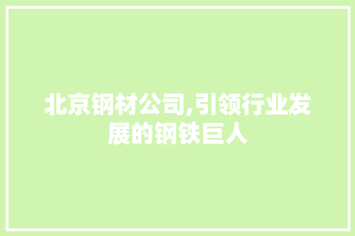 北京钢材公司,引领行业发展的钢铁巨人