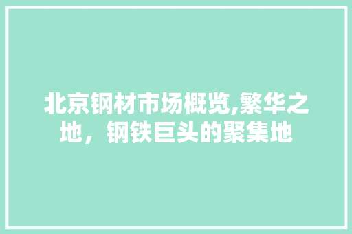 北京钢材市场概览,繁华之地，钢铁巨头的聚集地
