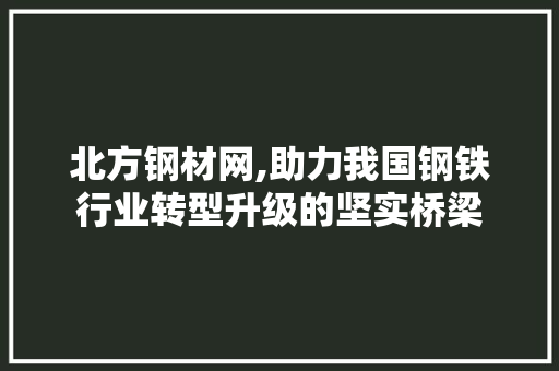 北方钢材网,助力我国钢铁行业转型升级的坚实桥梁