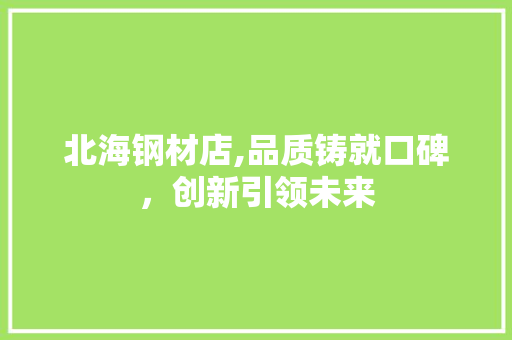 北海钢材店,品质铸就口碑，创新引领未来