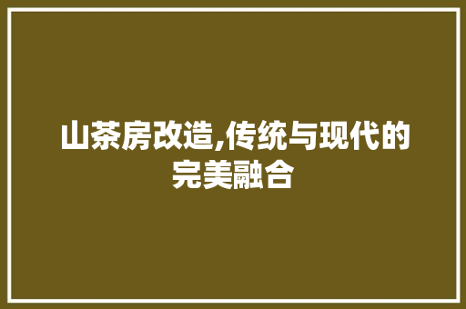 山茶房改造,传统与现代的完美融合