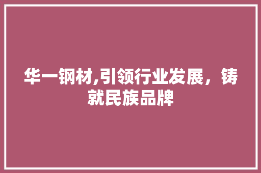 华一钢材,引领行业发展，铸就民族品牌