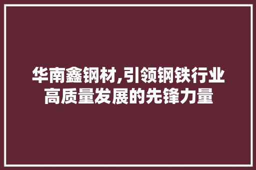 华南鑫钢材,引领钢铁行业高质量发展的先锋力量