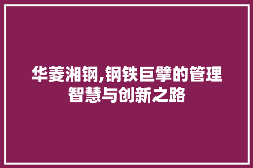 华菱湘钢,钢铁巨擘的管理智慧与创新之路