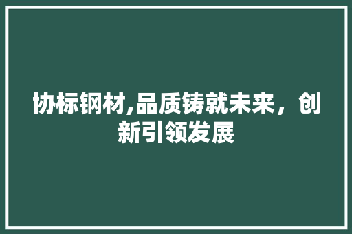 协标钢材,品质铸就未来，创新引领发展 装修材料