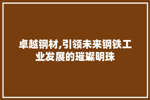 卓越钢材,引领未来钢铁工业发展的璀璨明珠