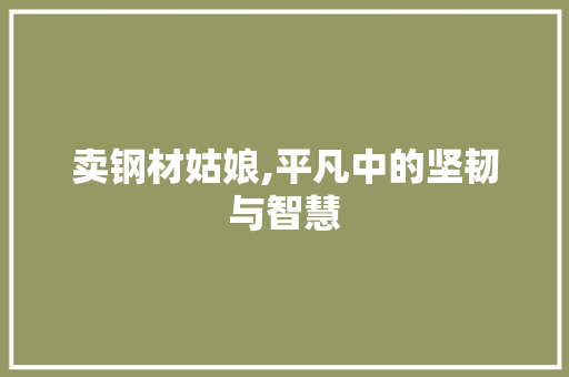 卖钢材姑娘,平凡中的坚韧与智慧