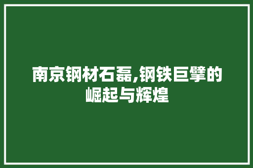 南京钢材石磊,钢铁巨擘的崛起与辉煌