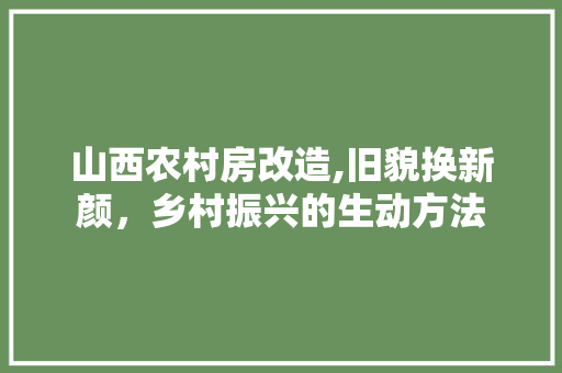 山西农村房改造,旧貌换新颜，乡村振兴的生动方法