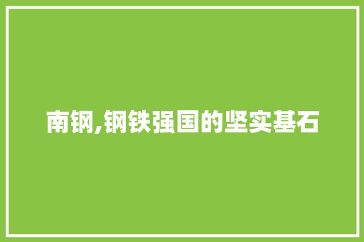 南钢,钢铁强国的坚实基石