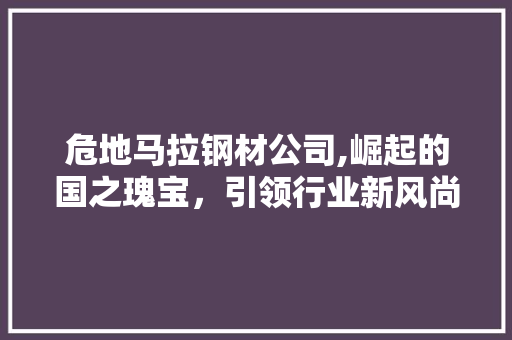 危地马拉钢材公司,崛起的国之瑰宝，引领行业新风尚