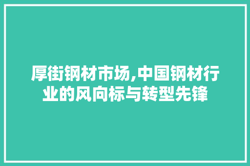 厚街钢材市场,中国钢材行业的风向标与转型先锋