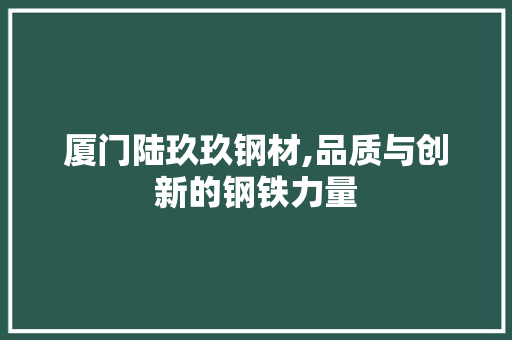 厦门陆玖玖钢材,品质与创新的钢铁力量