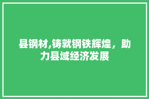 县钢材,铸就钢铁辉煌，助力县域经济发展