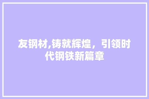 友钢材,铸就辉煌，引领时代钢铁新篇章