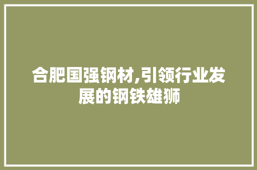 合肥国强钢材,引领行业发展的钢铁雄狮