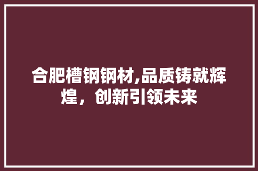 合肥槽钢钢材,品质铸就辉煌，创新引领未来