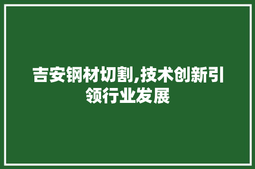 吉安钢材切割,技术创新引领行业发展