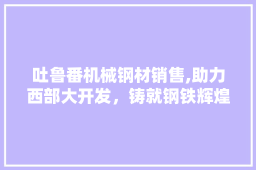 吐鲁番机械钢材销售,助力西部大开发，铸就钢铁辉煌
