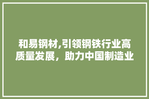 和易钢材,引领钢铁行业高质量发展，助力中国制造业腾飞