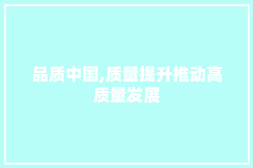 品质中国,质量提升推动高质量发展