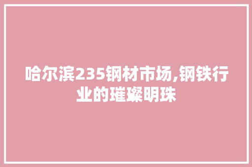 哈尔滨235钢材市场,钢铁行业的璀璨明珠