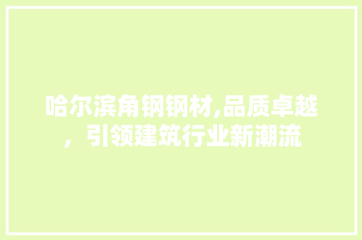 哈尔滨角钢钢材,品质卓越，引领建筑行业新潮流