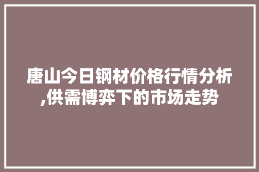 唐山今日钢材价格行情分析,供需博弈下的市场走势