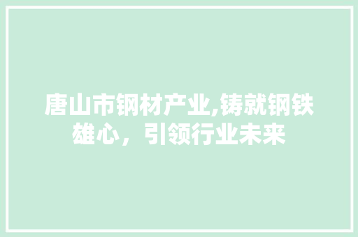 唐山市钢材产业,铸就钢铁雄心，引领行业未来