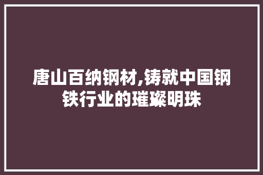 唐山百纳钢材,铸就中国钢铁行业的璀璨明珠