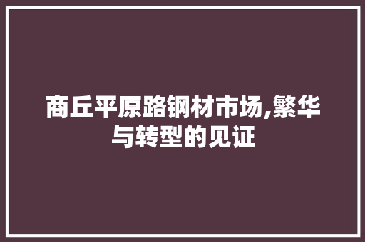 商丘平原路钢材市场,繁华与转型的见证 装修材料