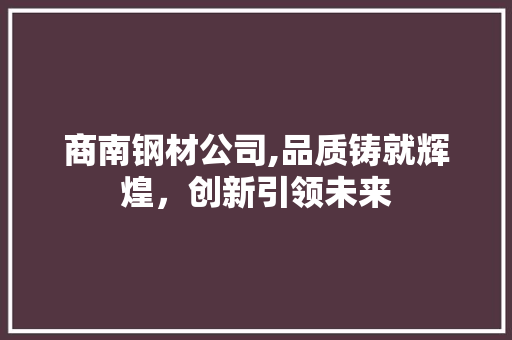 商南钢材公司,品质铸就辉煌，创新引领未来