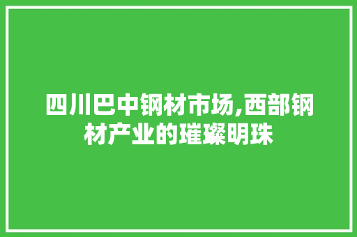 四川巴中钢材市场,西部钢材产业的璀璨明珠