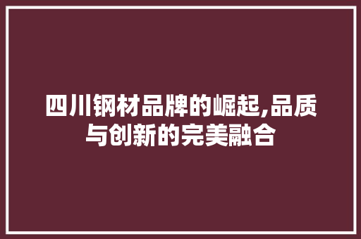四川钢材品牌的崛起,品质与创新的完美融合