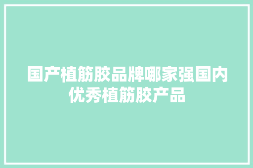 国产植筋胶品牌哪家强国内优秀植筋胶产品
