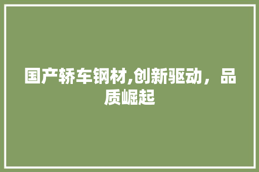 国产轿车钢材,创新驱动，品质崛起