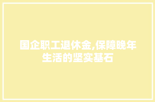 国企职工退休金,保障晚年生活的坚实基石