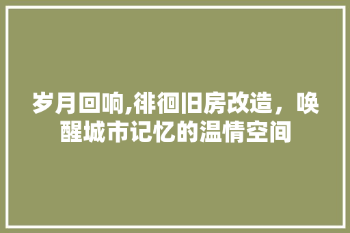 岁月回响,徘徊旧房改造，唤醒城市记忆的温情空间