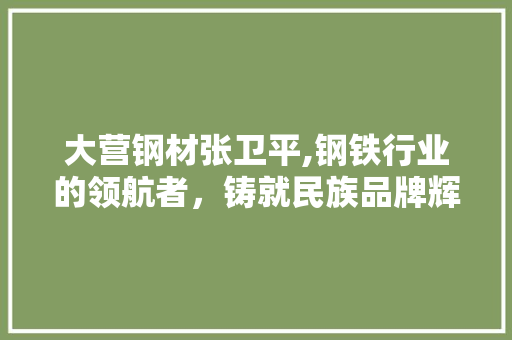 大营钢材张卫平,钢铁行业的领航者，铸就民族品牌辉煌