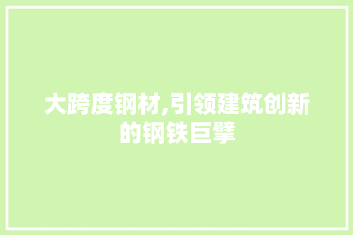 大跨度钢材,引领建筑创新的钢铁巨擘