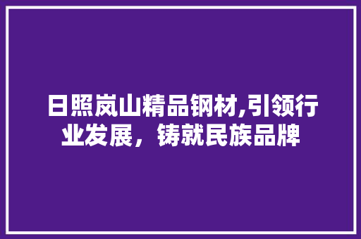 日照岚山精品钢材,引领行业发展，铸就民族品牌
