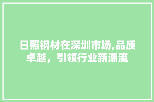 日照钢材在深圳市场,品质卓越，引领行业新潮流