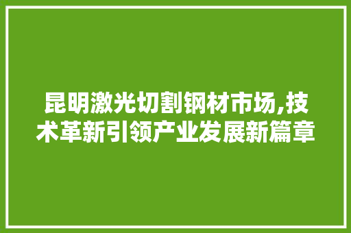 昆明激光切割钢材市场,技术革新引领产业发展新篇章