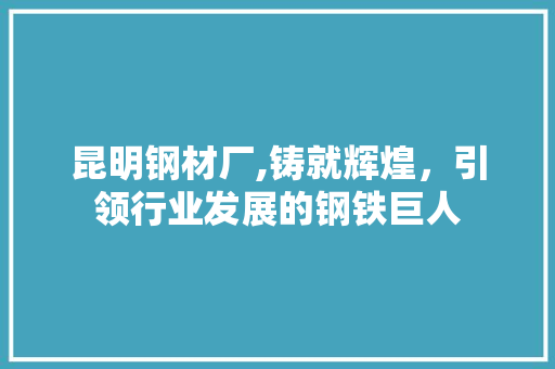 昆明钢材厂,铸就辉煌，引领行业发展的钢铁巨人